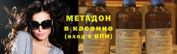 прущие грибы Аркадак