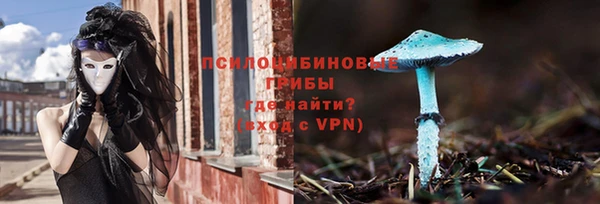спайс Алексин