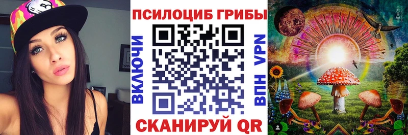 Псилоцибиновые грибы Psilocybe  хочу наркоту  Бологое 
